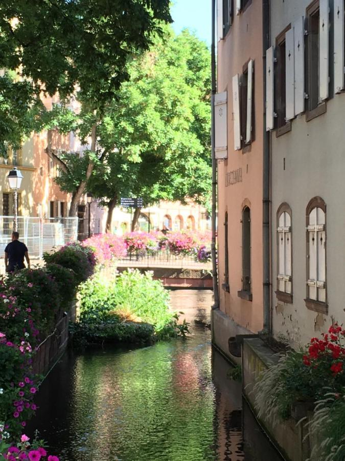 La Maison De Vacances De Colmar Et Son Jardin Екстер'єр фото
